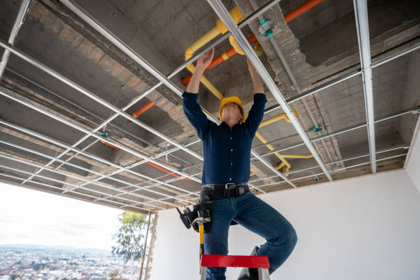 Best 24-Hour Plumber Near Me  in Red Bud, IL